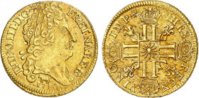 LOUIS XIV le Grand (1643-1715)
Louis d'or de Béarn au soleil
1710 PAU - TTB 45 (TTB++)
Rarissime !!!


DR 255a, D 1449, GR 256a, KM# 391, Fr# 44...