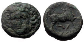 Thessaly, Larissa, AE Tetrachalkon, (Bronze, 9.28 g 19mm), ca 356-337 BC. 
Obv: Head of the nymph Larissa facing slightly to left 
Rev: ΛΑΡΙ-Σ-[ΑΙΩΝ],...