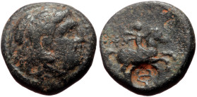Kings of Macedon, Philip V (221-179 BC) AE (Bronze, 14mm, 3.17g) Uncertain Macedonian mint, struck 221/0 B.C. 
Obv: Head of Herakles right, wearing li...