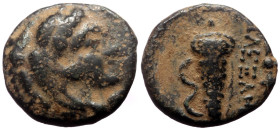 Kings of Macedon, Alexander III 'the Great', AE, (Bronze, 1.39 g 11mm), 336-323 BC. Macedonian mint.
Obv: Head of Herakles right, wearing lion skin.
R...