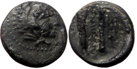 Kings of Macedon, Alexander III 'the Great', AE, (Bronze, 1.31 g 12mm), 336-323 BC. Macedonian mint.
Obv: Head of Herakles right, wearing lion skin.
R...