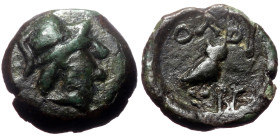 *Very rare* Skythia, Olbia (ca 190-180 BC) AE (Bronze, 1.62g, 12mm) 
Obv: Head of Athena to right, wearing crested helmet. 
Rev: ΟΛΒΙ Owl standing rig...