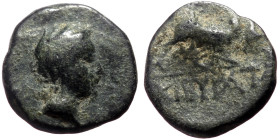 Troas, Birytis AE (Bronze, 1.34g, 10mm) ca 350-300 BC. 
Obv: Head of Kabeiros to left, wearing pilos. 
Rev: B-I/ P-Y Stylized triskeles. 
Ref: SNG Cop...