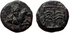 Troas, Skepsis AE (Bronze, 0.90g, 8mm) ca 400-310 BC).
Obv: Forepart of Pegasos right
Rev: Palm tree within linear square.
Ref: SNG Copenhagen 483;...