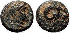 Troas, Kebren AE (Bronze, 1.06g, 10mm) ca 387-310 BC.
Obv: Head of ram right
Rev: Laureate head of Apollo right.
Ref: Lazzarini Series 4; SNG Arika...