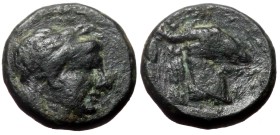 Aeolis, Aegae AE (Bronze, 1.21g, 10mm) ca 300-200 BC
Obv: Laureate head of Apollo right.
Rev: AIΓAE, Head of goat right.
Ref: SNG Copenhagen 1.