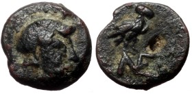 Aeolis, Neonteichos AE (Bronze, 0.79g, 10mm) 3rd-2nd centuries BC
Obv: Head of Athena right, wearing crested Attic helmet decorated with a griffin
R...