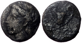Aeolis, Temnos, AR Obol, (Silver, 0.83 g 9mm), 4th century BC.
Obv: Laureate head of Apollo left.
Rev: T – A, Kantharos.
Ref: cf. Traité 2073 (diobol)...