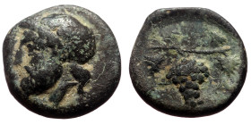 Aeolis, Temnos. Ae,(Bronze,1.22 g 9mm), 4th century BC.
Obv: Laureate head of Zeus left.
Rev: [T-A], Grape bunch on vine.
Ref: BMC 1; Asia Minor Coins...