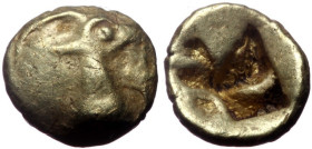Ionia, Uncertain mint, Myshemihekte - 1/48 Stater EL. (Elektron, 0.32g, 6mm) ca 600-550 BC. 
Obv: Forepart of goat right 
Rev: Quadripartite incuse sq...