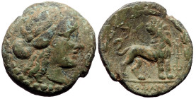 Ionia, Miletos AE (Bronze, 3.75 g 18mm) ca 200-100 BC, Diop'ant magistrate
Obv: Laureate head of Apollo right 
Rev: ΔΙΟΦΑΝΤ, lion standing right, head...
