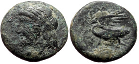 Ionia, Leukai AE, (Bronze,3.25 g 16mm),ca 350-300 BC.
Obv: Laureate head of Apollo left.
Rev: [ΛEOKAITΩN],Swan with open wings left, head turned back....
