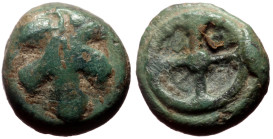 *Extremely Rare and by far the beautiest specimen*
Rhodos, Kamiros AE Chalkous (Bronze, 10mm, 1.25g) ca 500-480 BC.
Obv: Fig Leaf
Rev: Wheel, K A i...