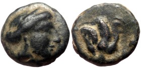 Islands off Karia, Rhodos. Rhodes AE (Bronze, 1.19g, 10mm) ca 350-300 BC.
Obv: Diademed head of Rhodos right
Rev: Rose with bud to right.
Ref: SNG ...