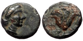 Islands off Karia, Rhodos. Rhodes AE (Bronze, 1.10g, 11mm) ca 350-300 BC.
Obv: Diademed head of Rhodos right
Rev: Rose with bud to right.
Ref: SNG ...