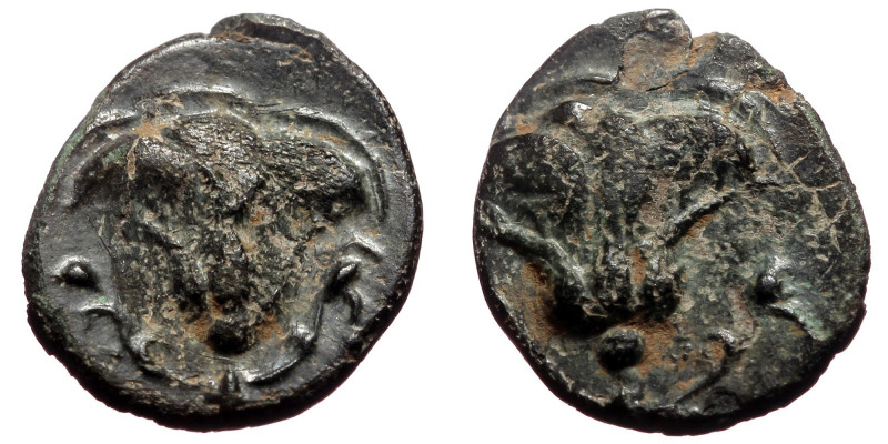 Karia, Rhodes. AE (Bronze, 0.93 g 8mm) ca 205-190 BC. 
Obv: Rose with bud to rig...
