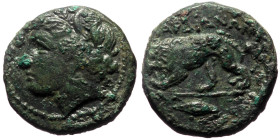 Lydia, Sardes AE (Bronze, 7.01g, 19mm) 
Obv: Dionysos head left.
Rev: ΣAPΔIANΩN, Lion walking right.
Ref: ???