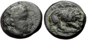 Mysia, Plakia AE (Bronze, 1.44g, 10mm) 4th century BC.
Obv: Turreted head of Kybele right.
Rev: ΠΛΑΚΙΑ. Lion, devouring prey, standing right on grain ...