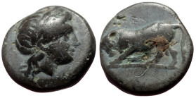 Mysia, Gambrion AE (Bronze, 1.00g, 9.mm) 4th century BC.
Obv: Laureate head of Apollo to right.
Rev: Bull butting left.
Ref: SNG Copenhagen 156.