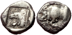 Mysia, Kyzikos AR Diobol (Silver, 11mm, 1.20g) ca 450-400 BC. 
Obv: Forepart of boar left; behind, tunny upward 
Rev: Head of roaring lion left within...