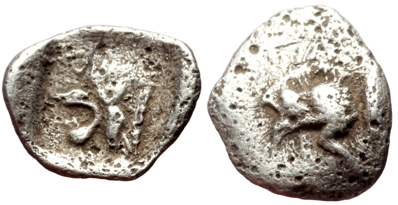 Mysia, Kyzikos AR Tetartemorion (Silver, 8mm, 0.15g) ca 525-475 BC. 
Obv: Forepa...