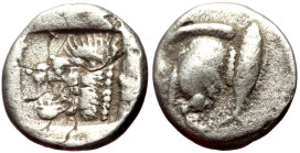 Mysia, Kyzikos AR Diobol (Silver, 11mm, 0.99g) ca 450-400 BC. 
Obv: Forepart of boar left; behind, tunny upward 
Rev: Head of roaring lion left within...