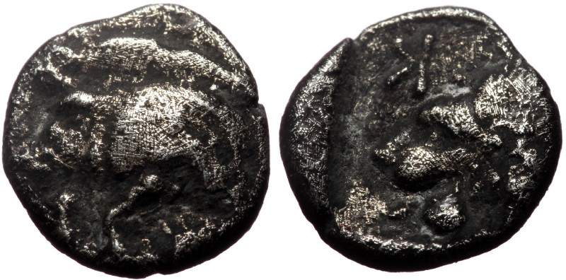 Mysia, Kyzikos (ca 525-475 BC) AR Obol (Silver, 8mm, 0,75g)
Forepart of boar lef...