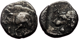 Mysia, Kyzikos (ca 525-475 BC) AR Obol (Silver, 8mm, 0,75g)
Forepart of boar left with tall mane and dotted truncation; to right, tunny / Head of roar...