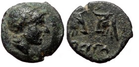 Mysia, Pergamon AE (Bronze, 0.61g, 10mm) ca 450 BC.
Obv: Laureate head of Apollo right
Rev: Confronted bull’s heads; grain ear between.
Ref: SNG Fr...