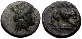 Mysia, Plakia AE (Bronze, 1.56g, 11mm) 4th century BC.
Obv: Turreted head of Kybele right.
Rev: ΠΛΑΚΙΑ, Lion, devouring prey, standing right on grain ...