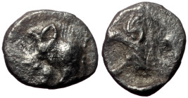 Mysia, Kyzikos AR Hemiobol (Silver, 0.35g, 8mm), ca 450-400 BC. 
Obv: Forepart of boar left; to right, tunny upward.
Rev: Head of roaring lion left; a...
