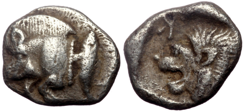Mysia, Kyzikos AR Hemiobol (Silver,0.77 g 9mm) ca 525-475 BC. 
Obv: Forepart of ...