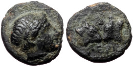Mysia, Pergamon AE, (Bronze,0.84g, 10mm) ca 450 BC. 
Obv:Laureate head of Apollo right 
Rev: ΠΕΡΓA, confronted bull's heads, ivy leaf above.
Ref: SNG ...