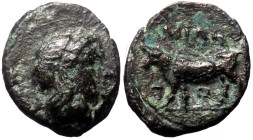 Mysia, Miletopolis AE (Bronze, 0.98g, 13mm) 4th century BC.
Laureate head of Apollo right; below, tunny right.
Rev: MIΛH, Bull advancing left.
Ref: SN...