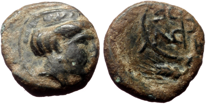 Mysia, Zeleia, AE, (Bronze, 1.05 g 10mm), 4th century BC.
Obv: Head of Artemis r...