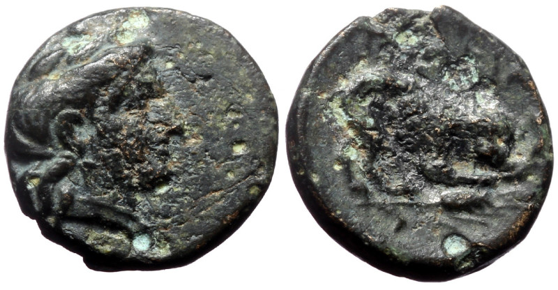 Mysia, Plakia AE (Bronze, 1.16 g 11mm) 4th century BC.
Obv: Turreted head of Kyb...