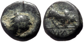 Phrygia, Kibyra AE (Bronze, 0.99g, 10mm) ca 2nd century BC. 
Obv: Female (?) bust right. 
Rev: KIBYPATΩN, Bull butting right; uncertain letters below....