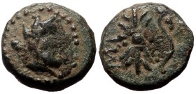 Pisidia, Selge AE (Bronze, 3.15g, 13mm) 2nd-1st century BC.
Obv: Laureate bust of Herakles to right, club over left shoulder.
Rev: Σ-E-Λ Thunderbolt...