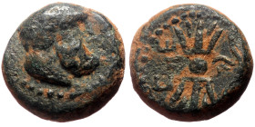 Pisidia, Selge AE (Bronze, 2.12g, 12mm) 2nd-1st century BC. 
Obv: Bearded facing head of Herakles, wearing wreath of cypress branches. 
Rev: Rev. ΣE-Λ...