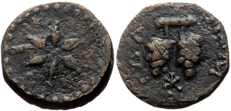 Cilicia, Pompeiopolis AE (Bronze, 4.48g, 15mm) 66-27 BC
Obv: Two bunches of grap...