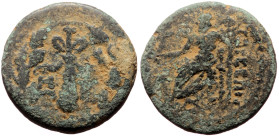 Cilicia, Tarsos AE (Bronze, 18mm, 4.23g) 164-27 BC 
Obv: ΤΑΡΣΕΩΝ, Zeus Aëtophoros seated left 
Rev: Filleted club; monograms flanking; all within oak ...