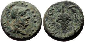 Cilicia, Soloi AE (Bronze, 5.52g, 15mm) ca 2nd-1st century BC 
Obv: Helmeted head of Athena right; Q behind 
Rev: ΣΟΛΕΩΝ, Grape bunch; two monograms t...