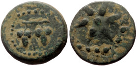 Cilicia, Pompeiopolis AE (Bronze, 2.89g, 15mm) 66-27 BC AE
Obv: Two bunches of grapes on a branch.
Rev: ΠΟΜΠHI, Star of six rays.
Ref: BMC 47; SNG Fra...