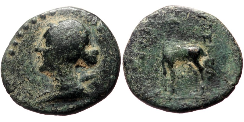 *Very Rare, just 2 specimens recorded by acsearch*
Kings of Galatia, Amyntas (3...