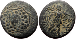 Pontos, Amisos AE (Bronze, 22mm, 7.33g) Time of Mithridates VI (ca 120-63 BC) ca. 85-65 B.C. 
Obv: Gorgoneion facing as boss of octagonal shield 
Rev:...