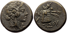 Pontos, Amisos AE (Bronze, 8.70g, 20mm) 105-90 /100-95 BC. Time of Mithradates VI Eupator. 
Obv: Ivy-wreathed head of Dionysos right. 
Rev: Thyrsos le...