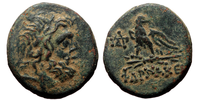 Pontos, Pharnakeia, Ae,(Bronze, 7.83 g 21mm) Struck under Mithridates VI Eupator...