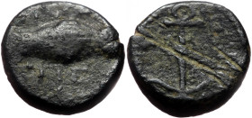 Kings of Commagene, Antiochos IV Epiphanes, 38-72. AE (Bronze, 13mm, 3.57g). 
Obv: ΠI-Σ/TI-Σ, Clasped hands holding kerykeion. 
Rev: KOMMAΓHNΩN Anchor...