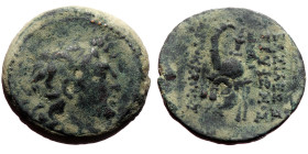 Seleukid King of Syria, Tryphon, Ae,(Bronze, 4.96 g 18mm) 142-138 BC. Antioch.
Obv: Diademed head of Tryphon right 
Rev: BAΣIΛEΩΣ TΡYΦΩNOΣ AYTOKΡATOΡO...