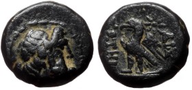 Unidentified Greek AE coin (Bronze, 1.81g, 10mm)
Obv: Zeus head right,
Rev: … ΣΩΤΗΡ, eagle, star in field
Ref: ???